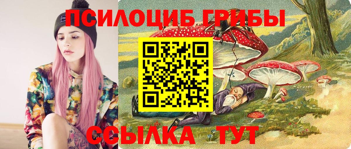 Якутск  Псилоцибиновые грибы GOLDEN TEACHER  Вход с VPN  Галлюциногенные грибы Cubensis 
